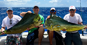 mahi big